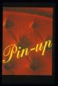 Projekt Gloves ; Pin-up ; Bild 9 ; Ausstellungsgestaltung  (Bibl.geschoss der HGKZ) Broschüre P…