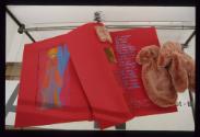 Projekt Gloves ; rot - blau ; Bild 5 ; Ausstellungsgestaltung  Vitrine > Broschüre und Handschu…