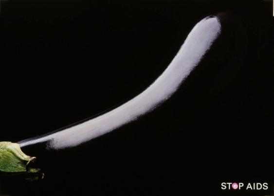 Stop Aids