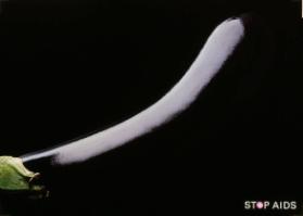 Stop Aids