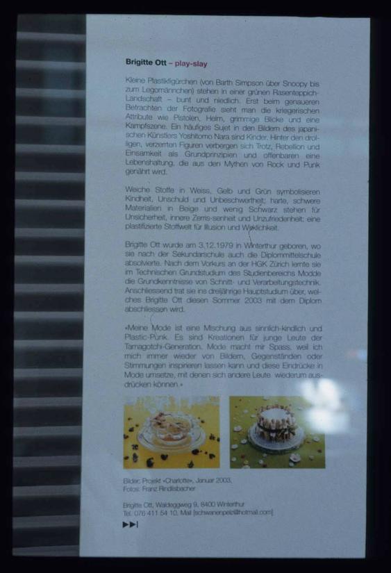 play-slay ; Bild A ; Ausstellungsgestaltung Fenster E : Text zum Projekt  
 
