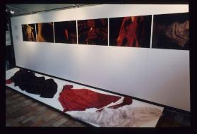 Being Beauteaus ; Ausstellungsgestaltung 