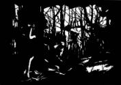 Pascale Mantovani, Waldnachtszenen, 2007, Papierschnitt, 54 x 77 cm ; © Pascale Mantovani, Züri…