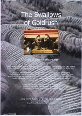 The Swallows of Goldrush - A film by Hans-Ulrich Schlumpf