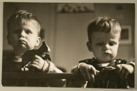 Die Kinder der Familie Lips