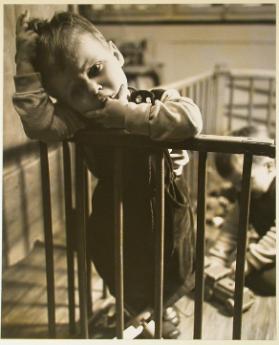 Die Kinder der Familie Lips