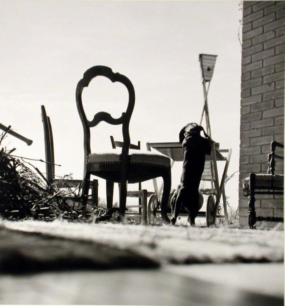 Architekt  Oskar Burri, Zumikon, Objektstudie mit Stuhl und Hund