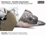 Showcase II – Scientific Visualization ; Einladung