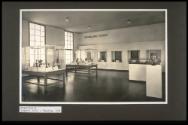 Prähistorische Felsbilder Südafrikas, Expedition Frobenius, Ausstellungsgestaltung (Wegltg. 104…