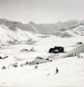 Tann Alp