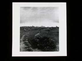 Prähistorische Grabanlagen bei Carnac
