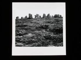 Prähistorische Menhire bei Carnac