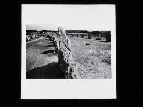 Menhirfeld bei Carnac