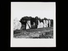 Gruppe von Menhiren bei Carnac