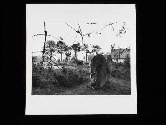 Menhire bei Carnac