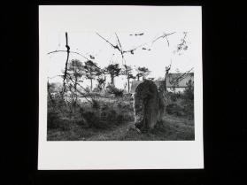Menhire bei Carnac
