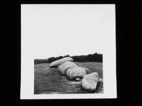 Umgestürzter Menhir