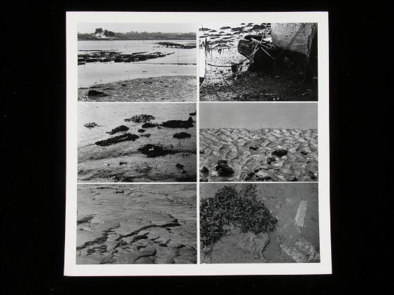 Wattenmeer