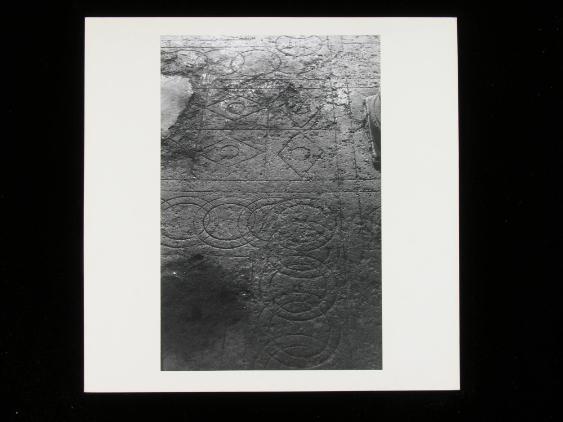 Exkursion Apulien 1964