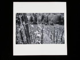 Vitodurum  - Winterthur
