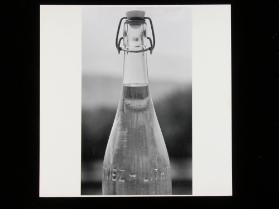 Flasche