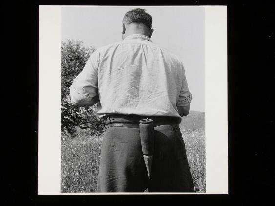 Erweiterung des Selbstportraits