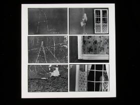 Fläche und Ausschnitt