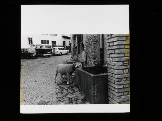 Bergell