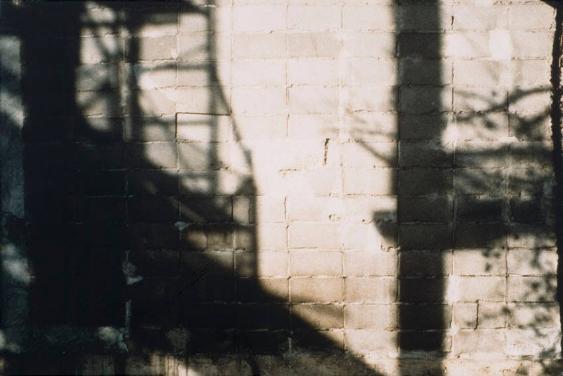 Schatten 19