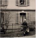 Rund ums Fenster
