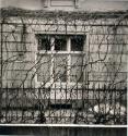 Rund ums Fenster