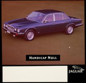 Handicap Null