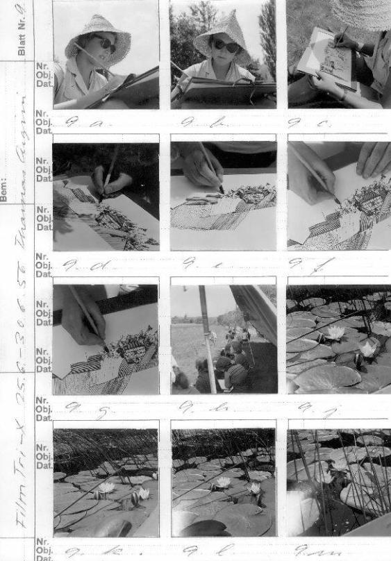 Film Tri-x