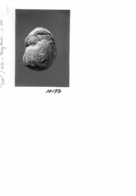 Brot ; Aufnahme von Fredy Murer ; ca. 1960
