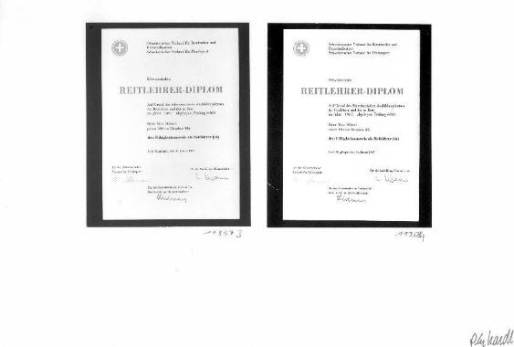 Reitstall Waldheim, Zürich