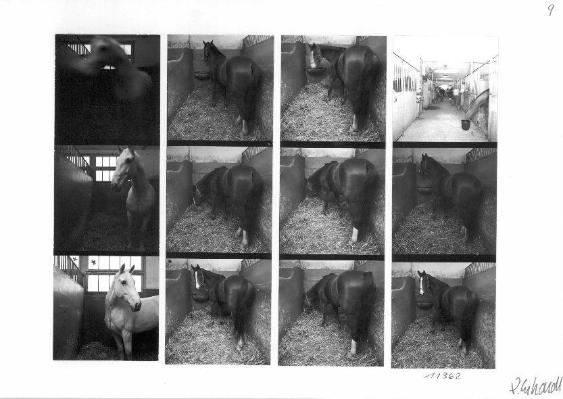 Reitstall Waldheim, Zürich