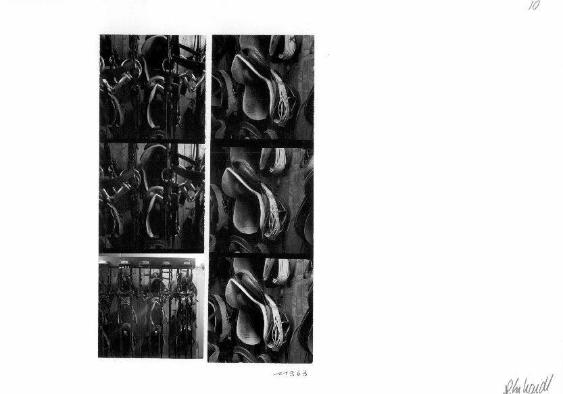 Reitstall Waldheim, Zürich