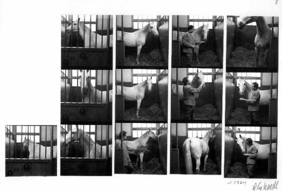 Reitstall Waldheim, Zürich