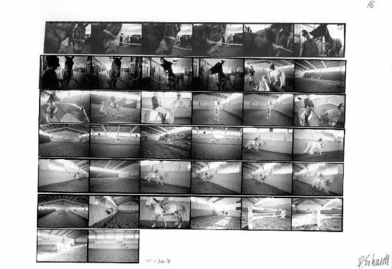 Reitstall Waldheim, Zürich