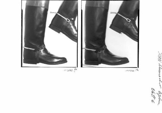 Reitstall Kolbenhof Zürich