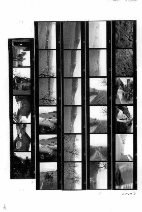 Reitstall Spring, Dietikon-Spreitenbach