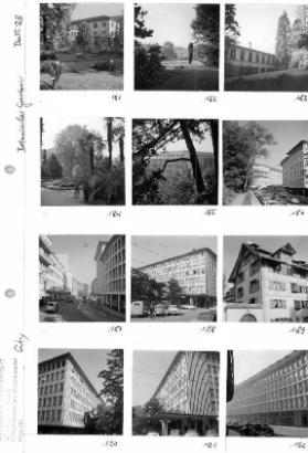 City, Botanischer Garten