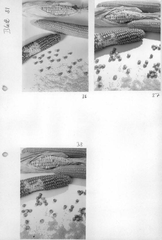 Sachaufnahmen, Material / Oberfläche
