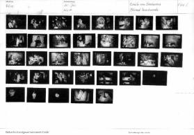 Film / 20. Jahrhundert Amerika, Blind husbands, F 64 / 1