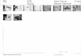 Film / 20. Jahrhundert Amerika, Nanook of the North, F 68 / 2