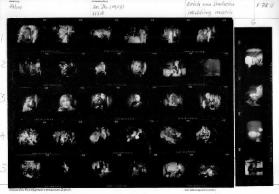 Film / 20. Jahrhundert (1927) Amerika, Wedding march, F 78 / 4
