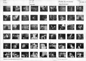 Film / 20. Jahrhundert Japan, Rashomon, F 109 / 1