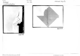 Buchillustration / 20. Jahrhundert, Antonio Tapiès