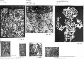 20. Jahrhundert Frankreich, Jean Dubuffet