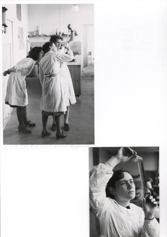 Gudula Welti, Ruth Dietrich, Annemarie Rickenbach / Margrit Schaich